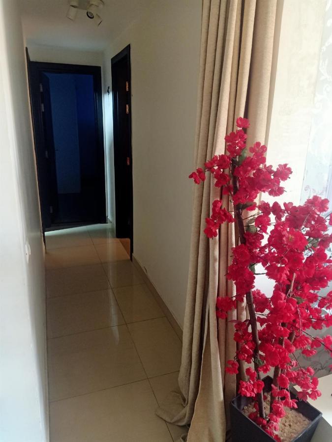 Fully Furnished At Ocean Blue Compound Апартаменти